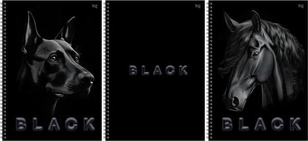 Тетрадь BG Just black / Т4гр80_лс_вл 08657 2
