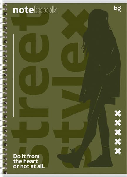 Тетрадь BG Street style / Т4гр96_лм 06566 3