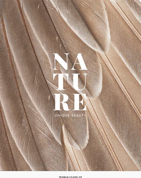 Тетрадь Greenwich Line Nature / N4c48-38997 3