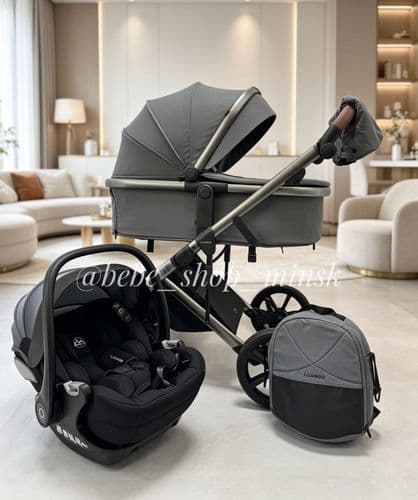 Коляска трансформер 3 в 1 Luxmom 710 1