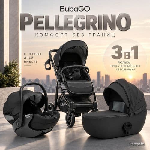 Коляска Bubago Pellegrino 3 в 1 BG 163-1 3