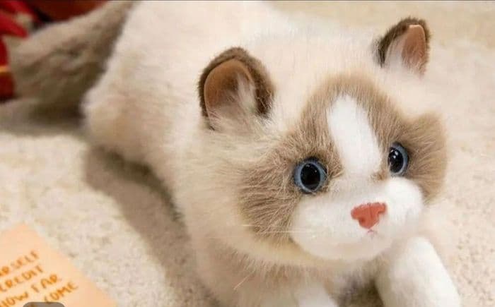 Милые мягкие плюшевые игрушки с имитацией кошки, 4