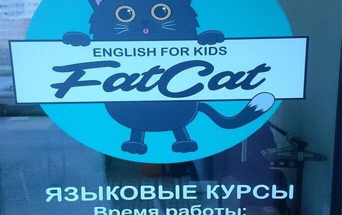 Fat Cat English