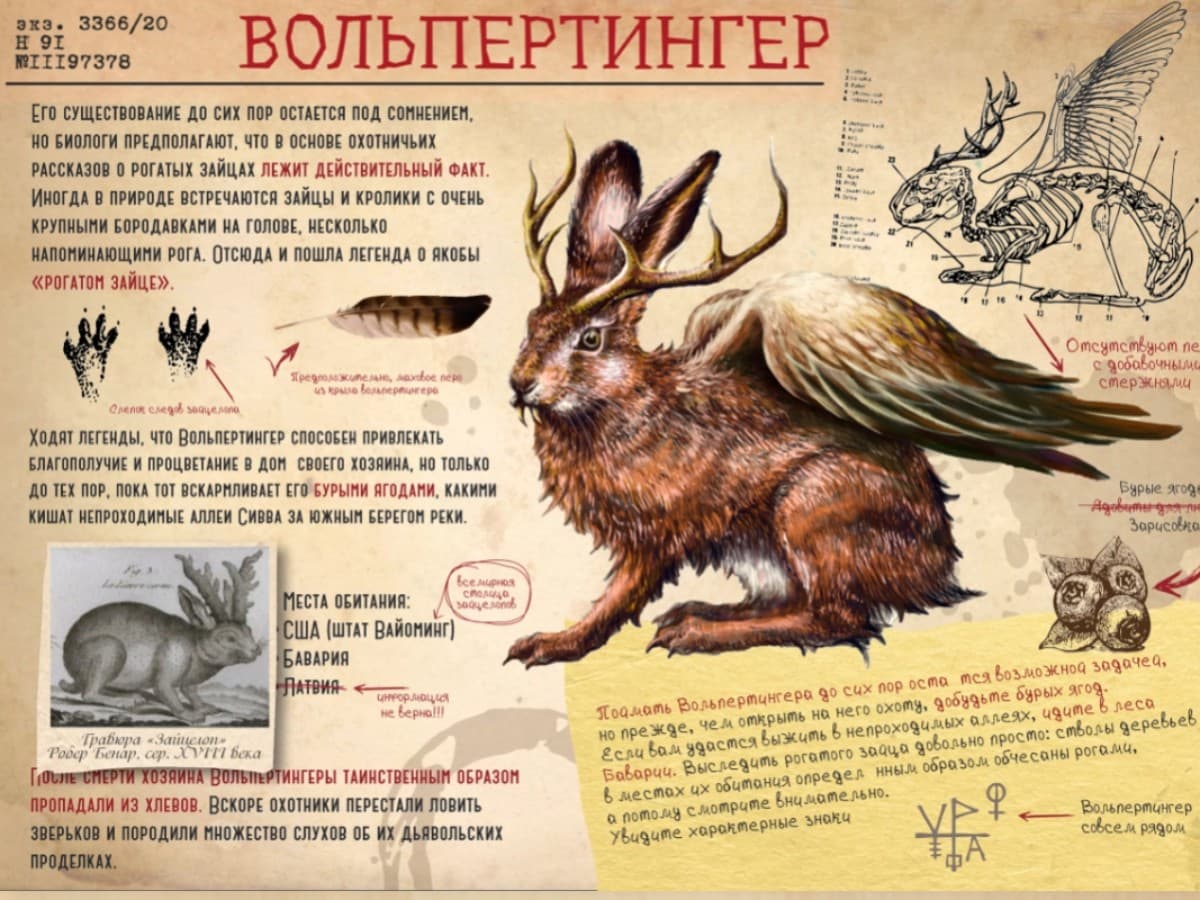 Первый криптозоологический музей "Легендарий" 3