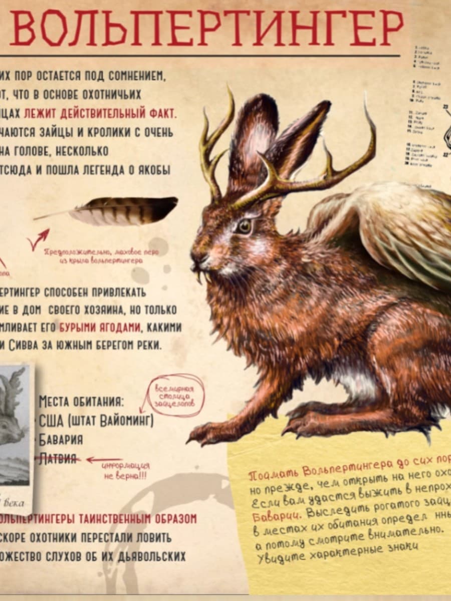 Первый криптозоологический музей "Легендарий" 3