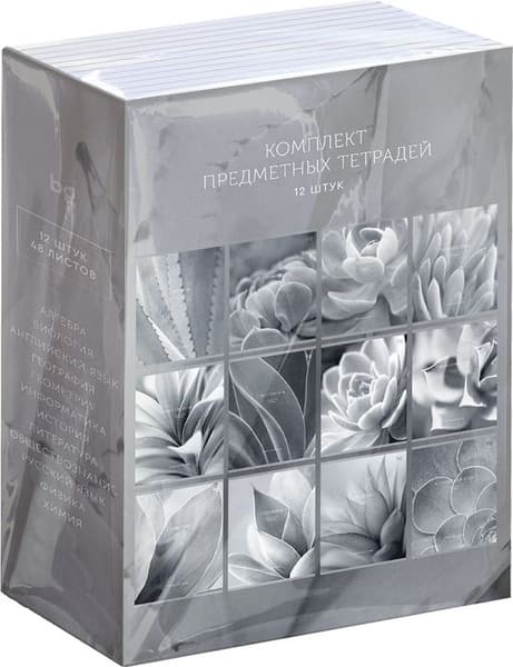 Набор предметных тетрадей BG Succulents / ТПК5ск48_лм 09105 2