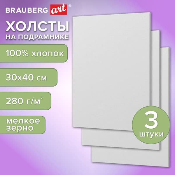 Набор холстов для рисования Brauberg Art Basic / 192677 2