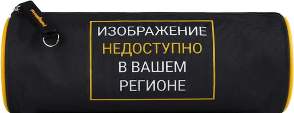 Пенал Феникс+ Фразы с характером / 72024 2