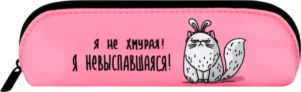 Пенал Феникс+ Кошка в ободке / 72212 2