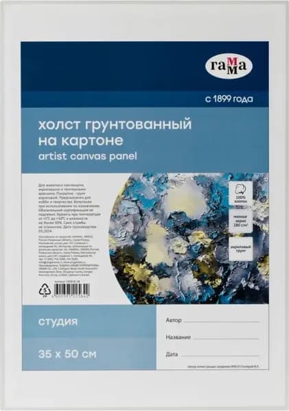 Набор холстов для рисования ГАММА Студия / 17123550 3