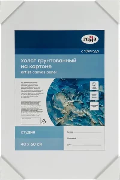 Набор холстов для рисования ГАММА Студия / 100524060 2