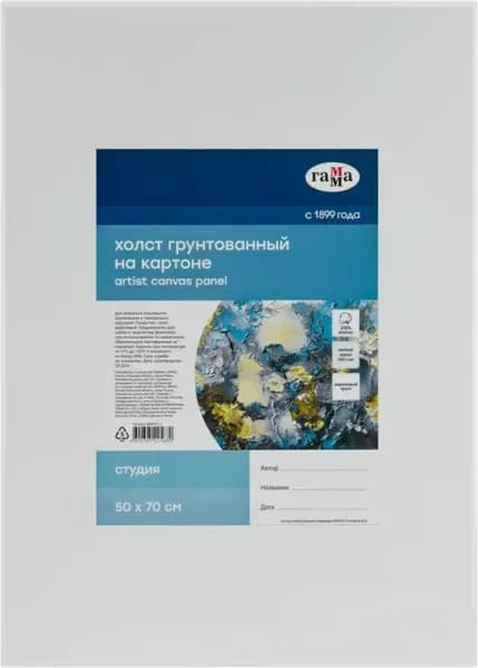 Набор холстов для рисования ГАММА Студия / 17125070 3