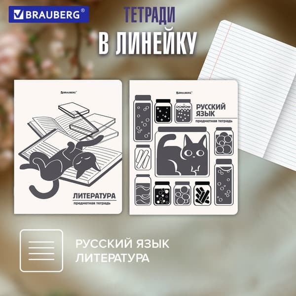 Набор предметных тетрадей Brauberg Кот-непоседа / 405542 7