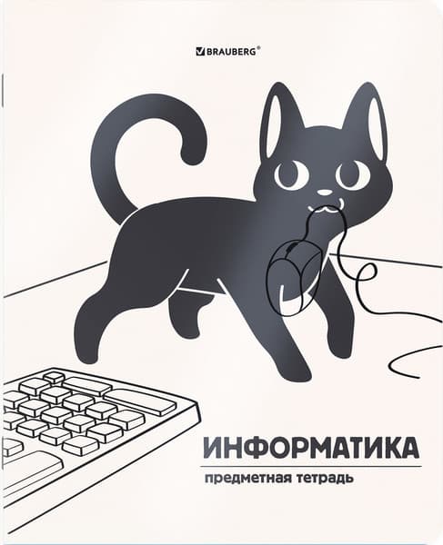 Набор предметных тетрадей Brauberg Кот-непоседа / 405542 9