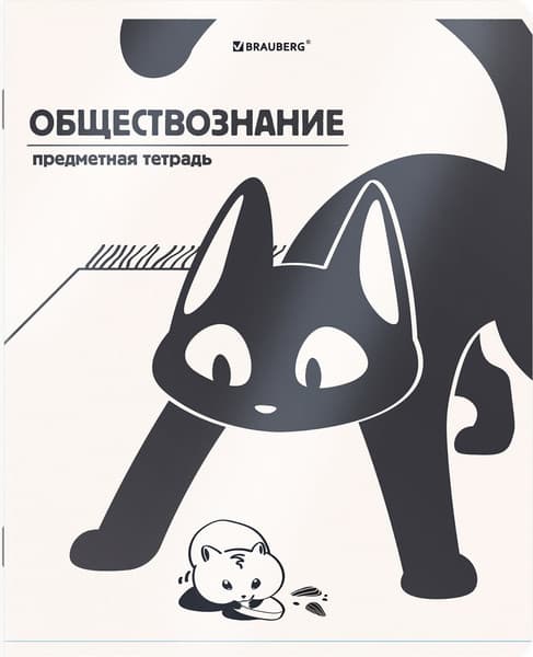 Набор предметных тетрадей Brauberg Кот-непоседа / 405542 8