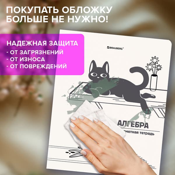 Набор предметных тетрадей Brauberg Кот-непоседа / 405542 4