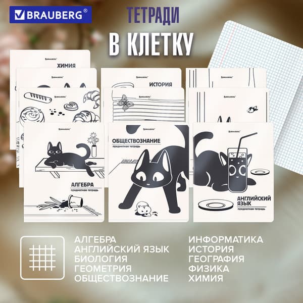 Набор предметных тетрадей Brauberg Кот-непоседа / 405542 6