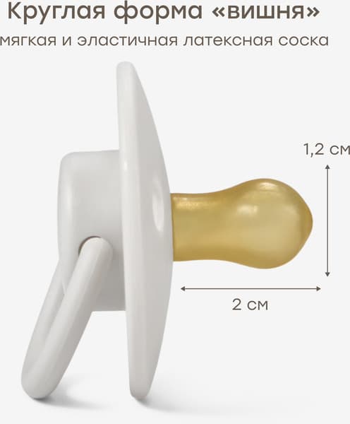 Пустышка Happy Baby с контейнером для стерилизации / 13041 3