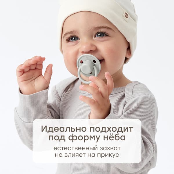 Пустышка Happy Baby с контейнером для стерилизации / 13041 4