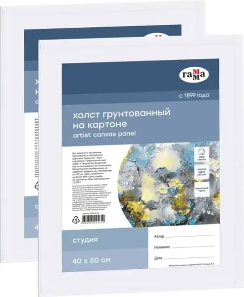 Набор холстов для рисования ГАММА Студия / 210923_24050