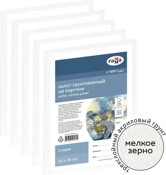 Набор холстов для рисования ГАММА Студия / 25112152535 2