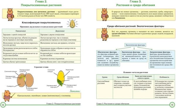 Учебное пособие КоЛибри Биология в таблицах и комиксах 6