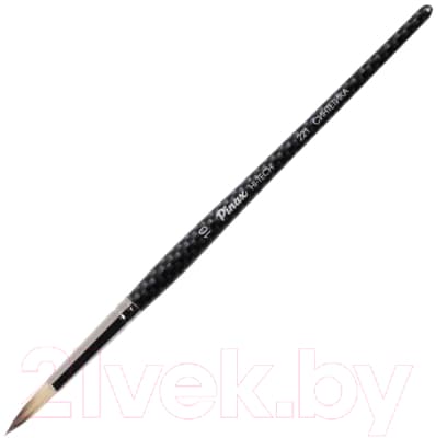 Кисть для рисования Pinax Artists Hi-tech №10 / 221010