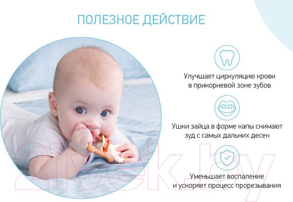 Прорезыватель для зубов ROXY-KIDS Bunny / RBT-001BD 6