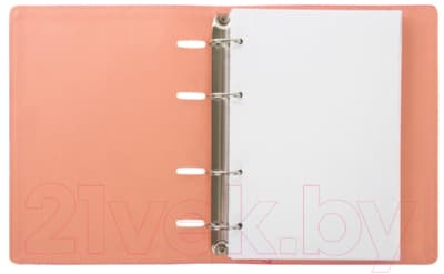 Тетрадь Brauberg Joy / 129990 4