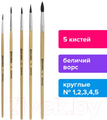 Набор кистей Brauberg Беличья / 200217 8