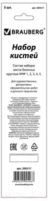 Набор кистей Brauberg Беличья / 200217 5