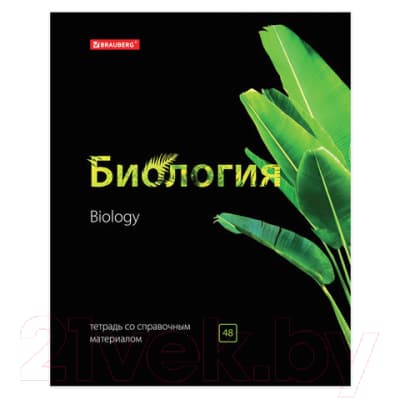 Набор тетрадей Brauberg Предметные Black&Bright / 403560 9