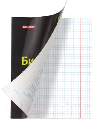 Набор тетрадей Brauberg Предметные Black&Bright / 403560 10