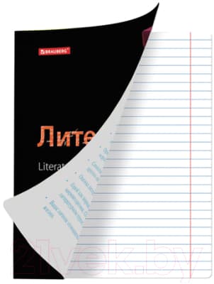 Набор тетрадей Brauberg Предметные Black&Bright / 403560 5