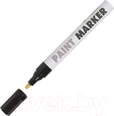 Маркер-краска inФормат Paint Professional KRR04K