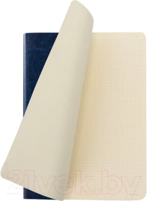Тетрадь Brauberg Viva / 403906 3
