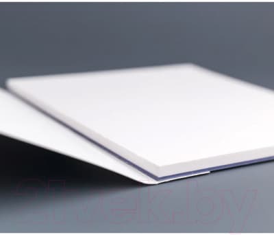 Набор бумаги для рисования Малевичъ White Swan / 401438 4