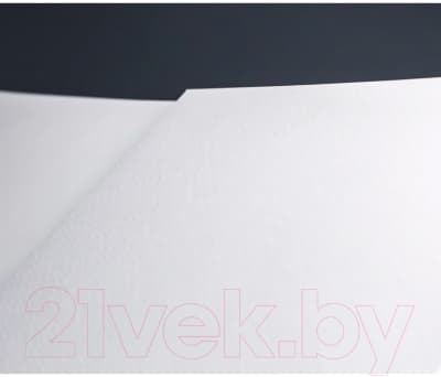 Набор бумаги для рисования Малевичъ White Swan / 401438 3