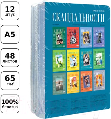 Набор предметных тетрадей BG Скандальности / ТПК5ск48_лг 11594 3