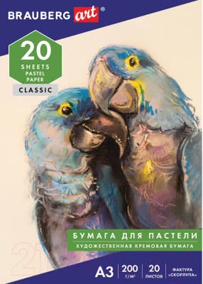 Набор бумаги для рисования Brauberg Art / 126304