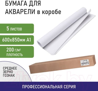Набор бумаги для рисования Brauberg Art / 114488 3