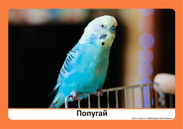Наглядное пособие Мозаика-Синтез Программа, основанная на Ecers. Мой дом, моя семья / МС13892 4