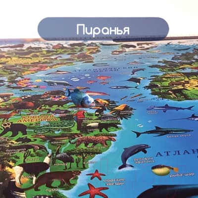 Настенная карта Юнландия Животный и растительный мир / 112373 8