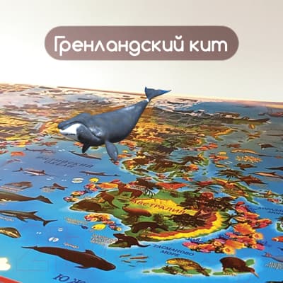 Настенная карта Юнландия Животный и растительный мир / 112373 3