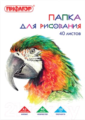 Набор бумаги для рисования Пифагор Попугай А3 / 129219
