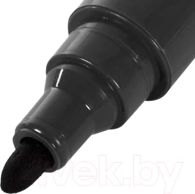 Набор маркеров Staff Basic Budget PM-125 / 880598 4