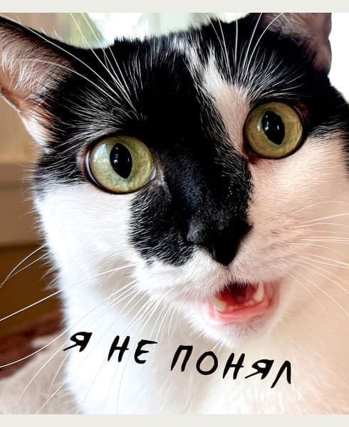 Тетрадь Listoff Котики / ТК968711 2