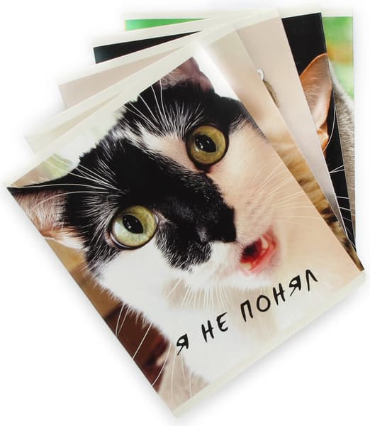 Тетрадь Listoff Котики / ТК968711 4