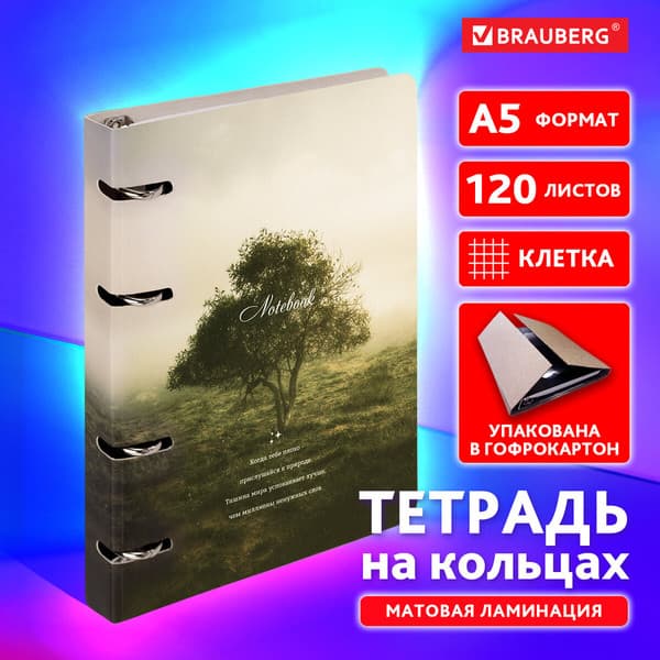 Тетрадь Brauberg 404728 2