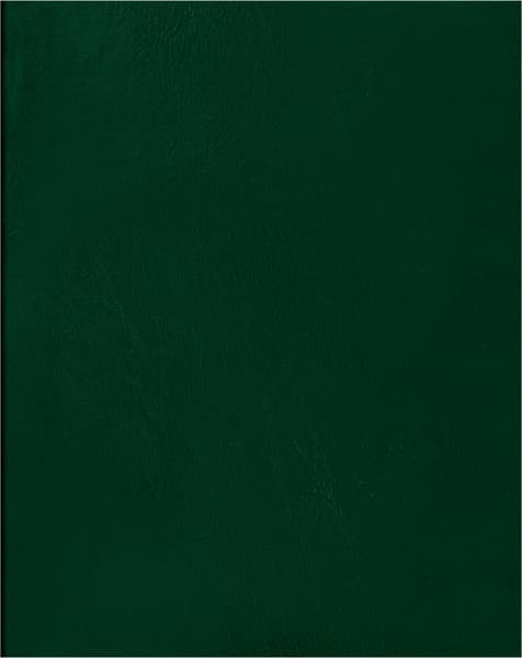 Тетрадь BG Т4бв80к_12324